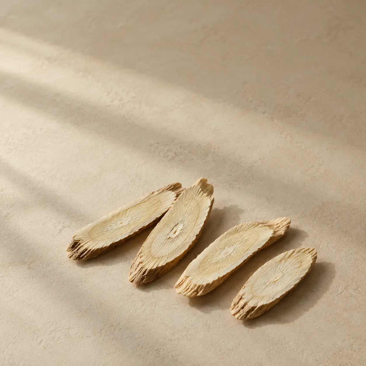Four long pale dried astragalus root slices, showing their radial grain, photographed on warm plaster.