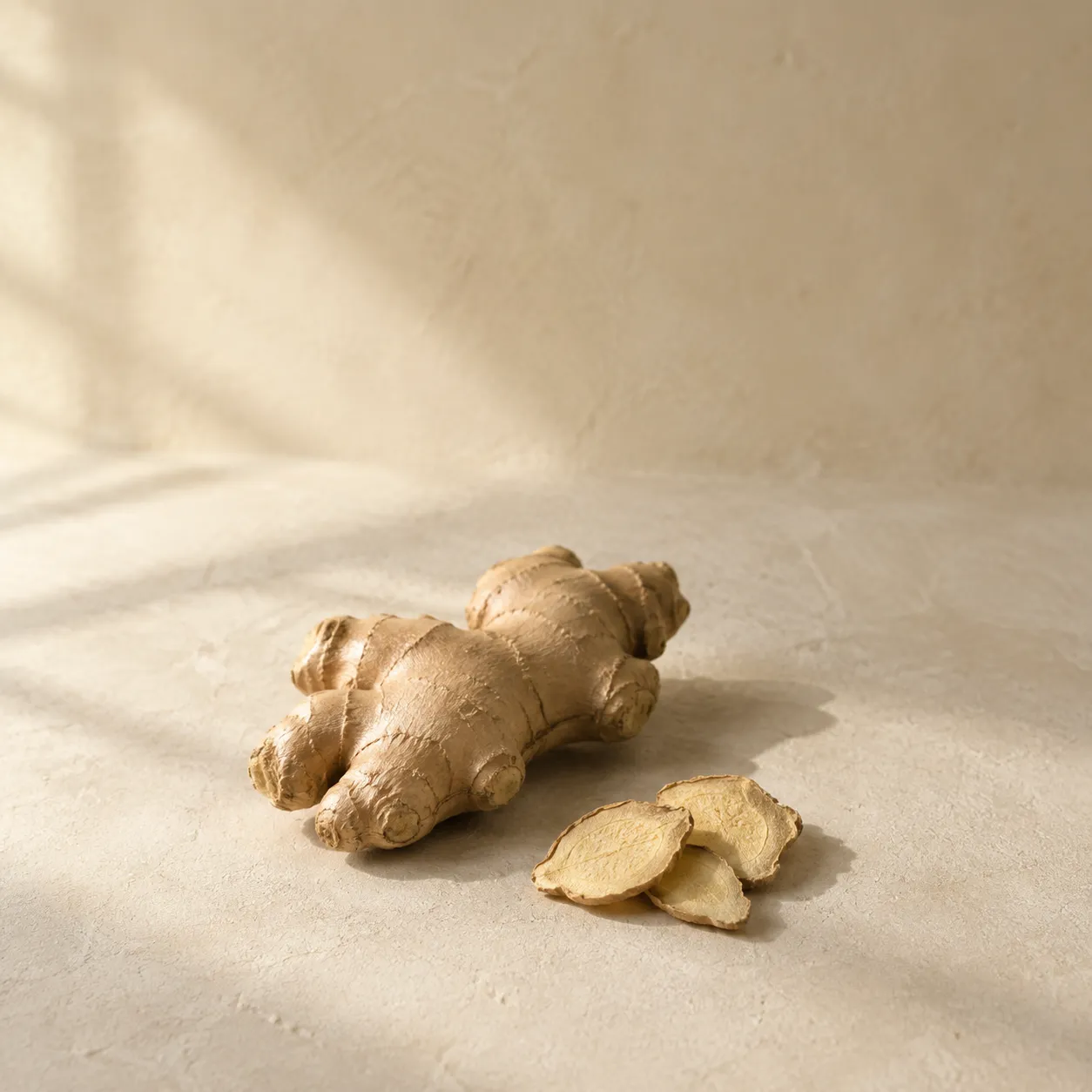 A knuckle of fresh ginger root and three thin dried ginger slices, photographed on warm plaster.