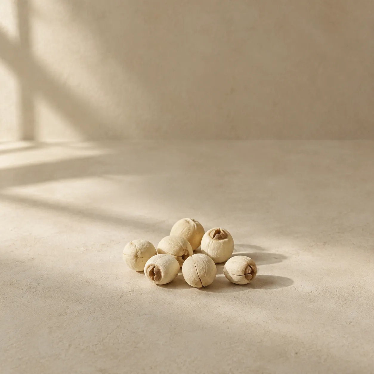 A small handful of pale dried lotus seeds, photographed on warm plaster.